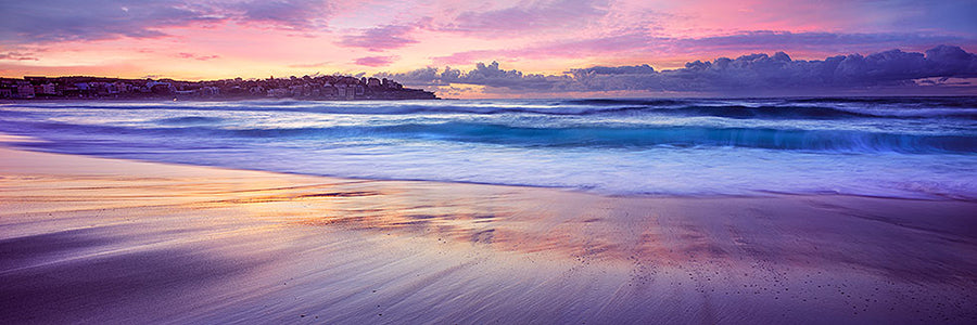 Bondi-Mornings