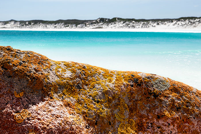 Colours-of-Esperance