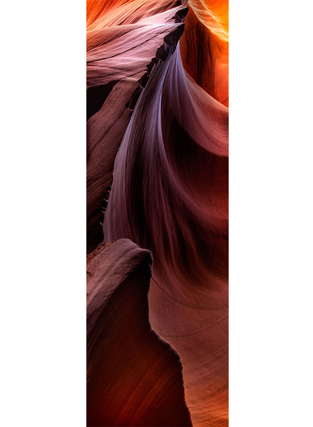DESERT-MOTION-620×845