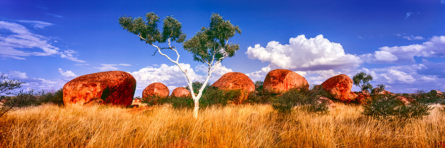 GHOST-GUM-