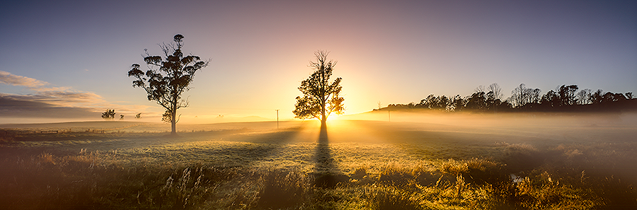MORNING-MIST