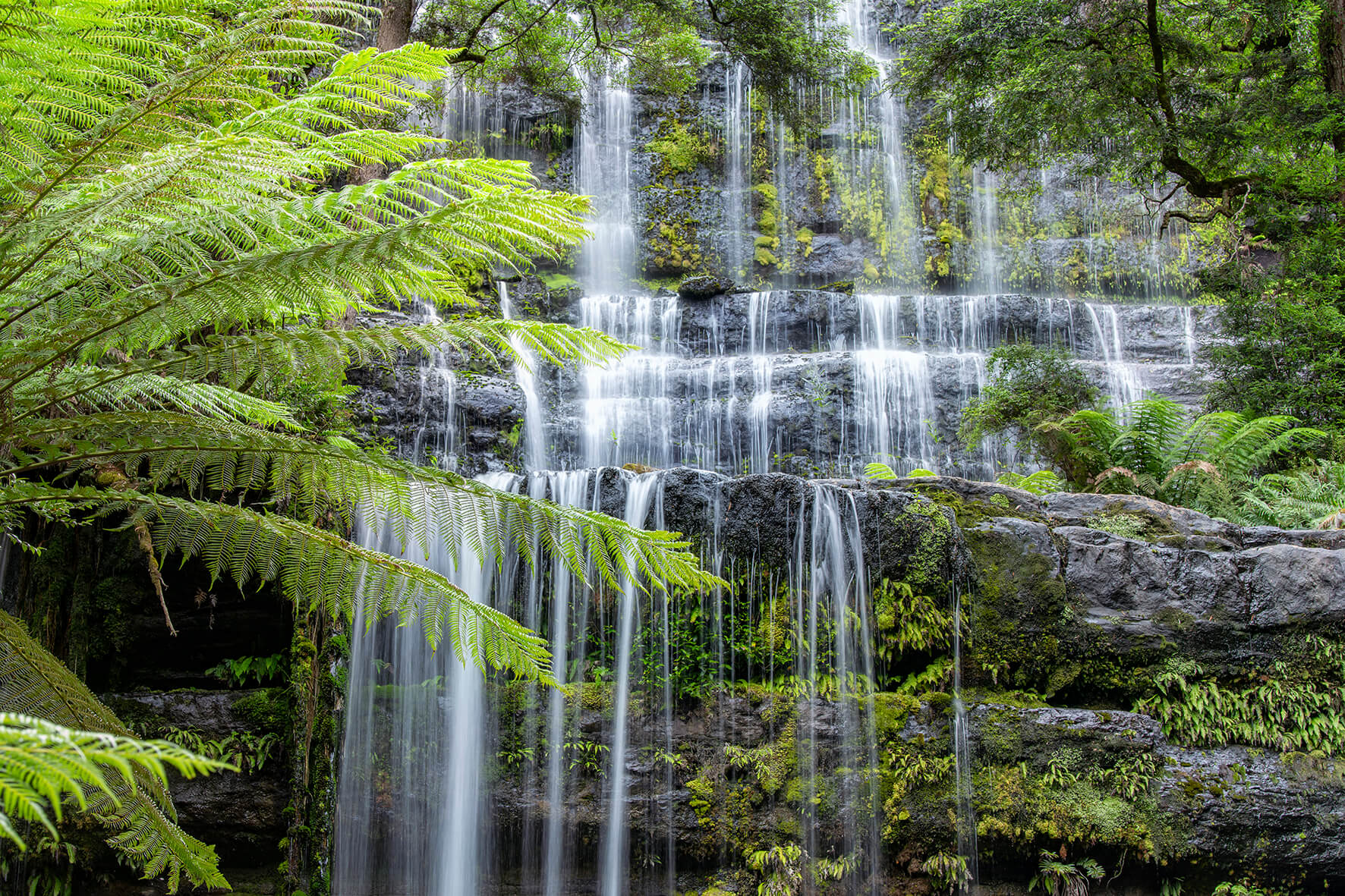 Majestic Falls