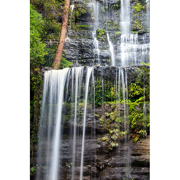 Russell-Falls-2