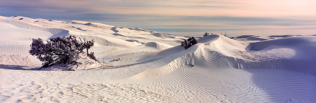 SNOWY DUNES