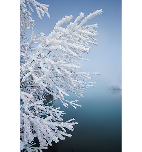 Snow-Flake-III
