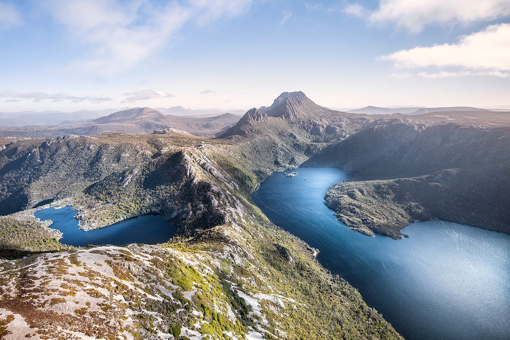 Tasmanian Beauty