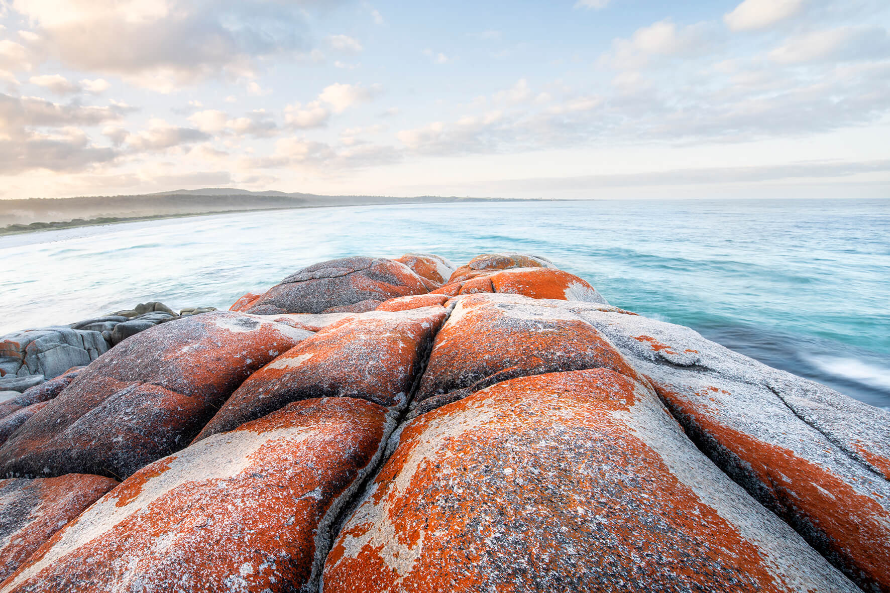 Tasmanian Colours