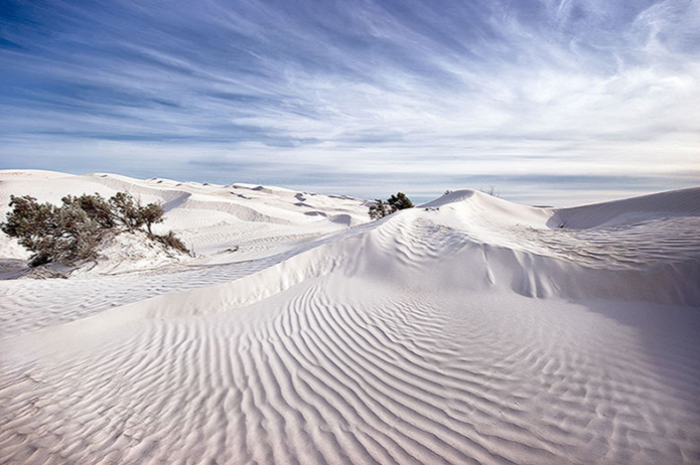 WHITE-DUNES-Print.png