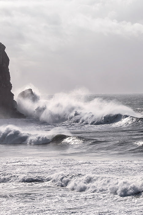 Wild-Avalon-3