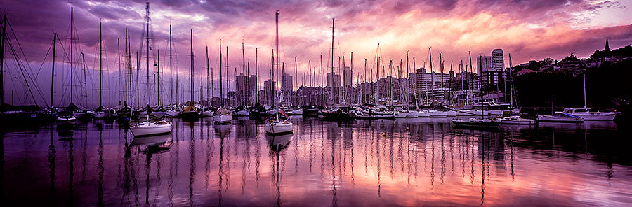RUSHCUTTERS BAY